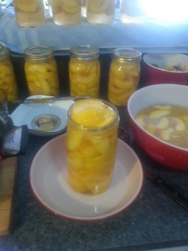 Recipe: Canning Peaches
