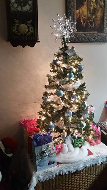 ​Christmas Memories - My Tree